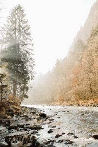 Autumn landscape in the mountains with fog-veiled trees in the distance and a river - featured in Curated Letter N°16 as a seasonal reflection on life´s continuous changes, nuances, and nature's calm symbolising casual confidence wherever life´s flow will take us.