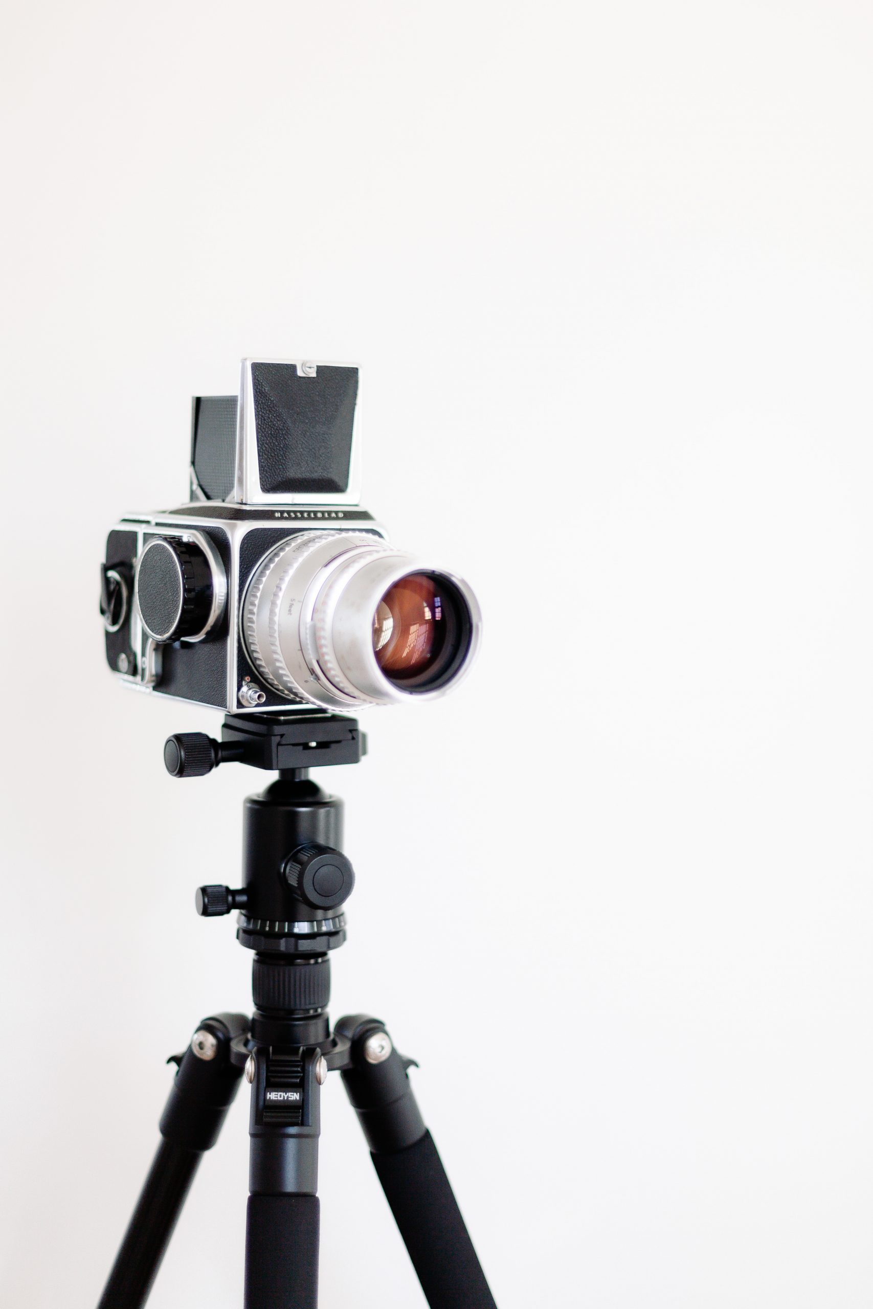 Why focus plays an essential role in being a successful female investor