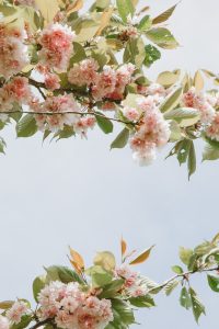 Curated Letter N°22- April&May 2023 Edition