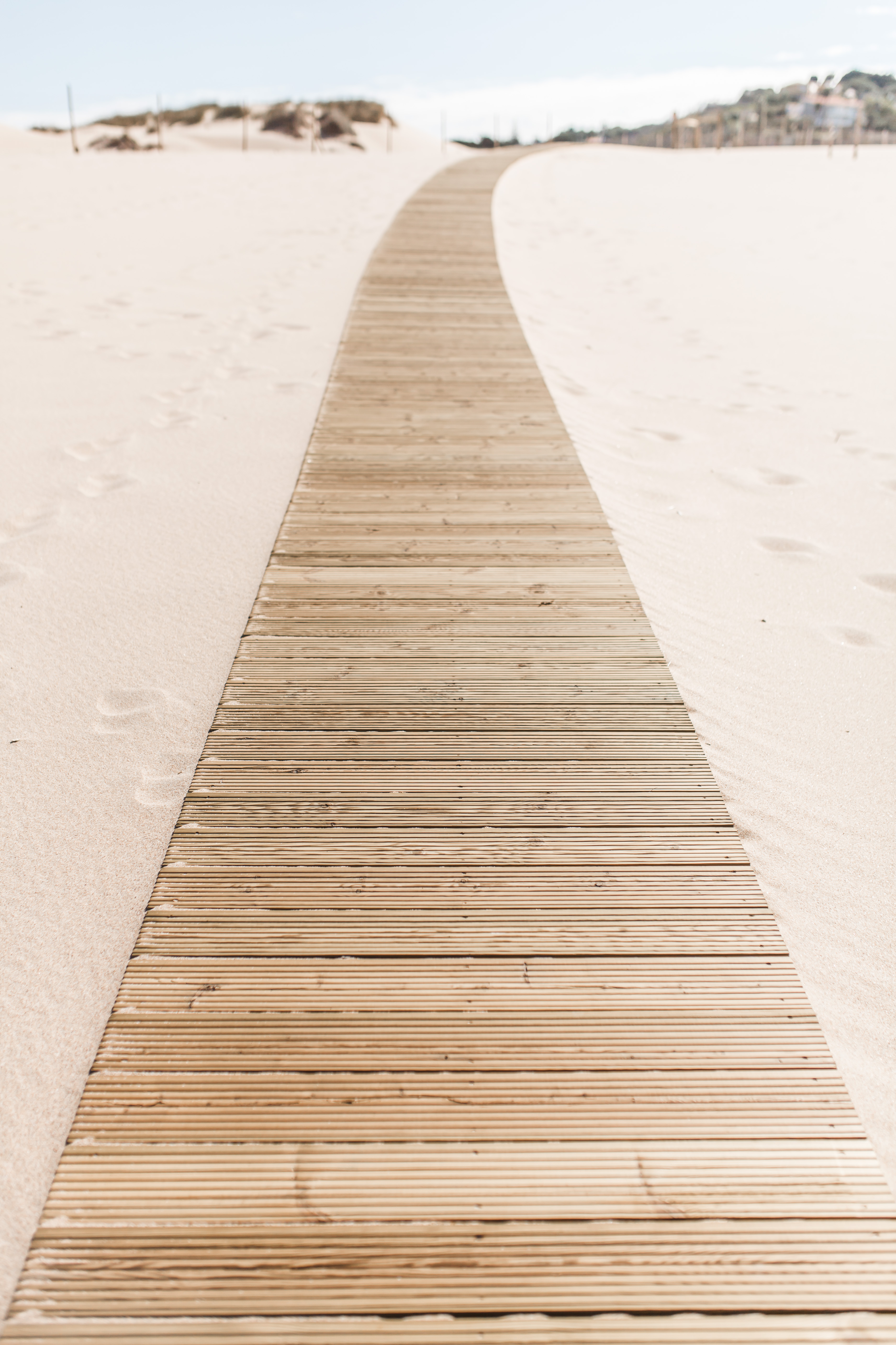 Decision-making in uncertain times-ultimate methods