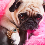 Beyond Wealth: Reality Check for Those Wondering If They’re Rich